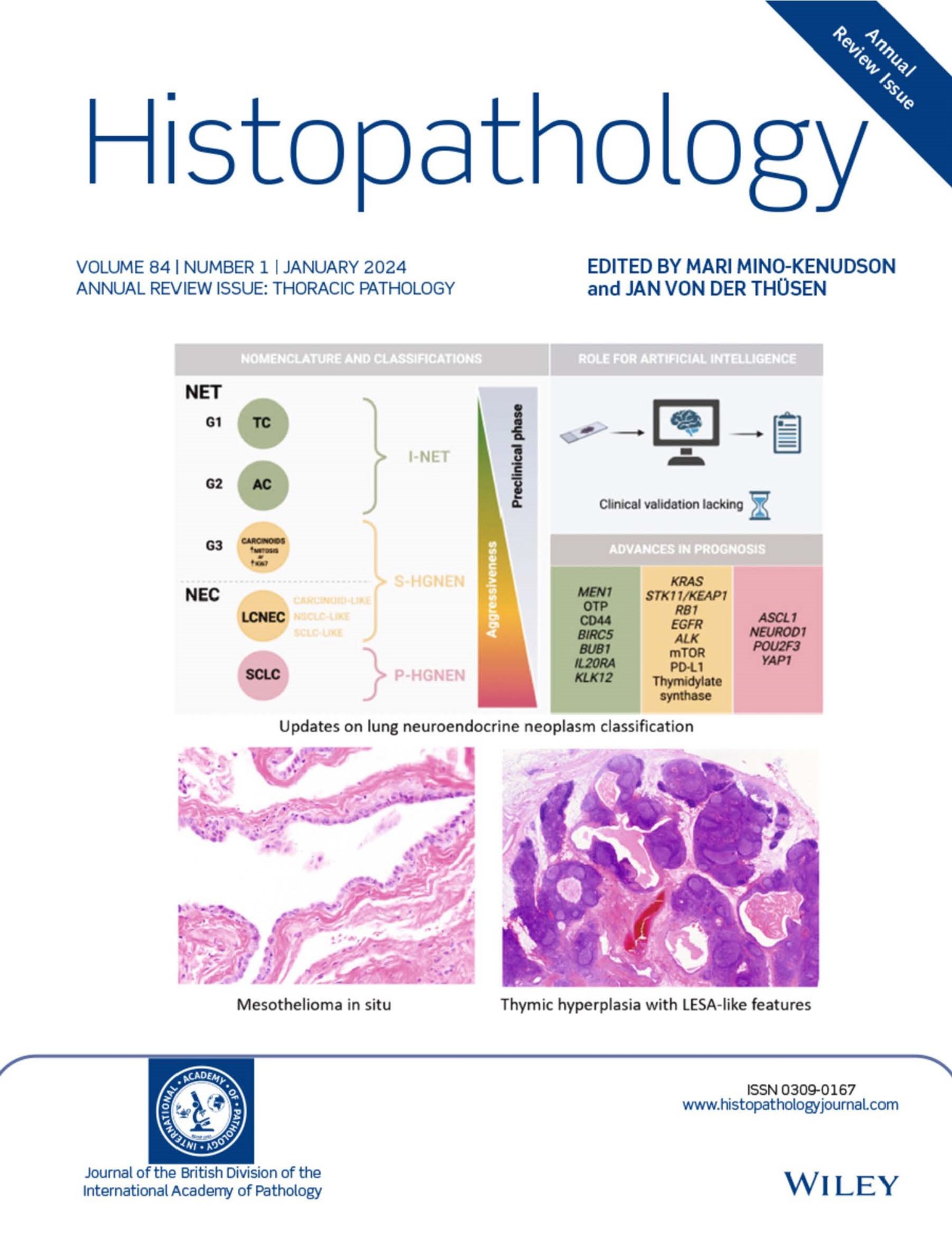 Histopathology Journal: Annual Review Issue Now Available image